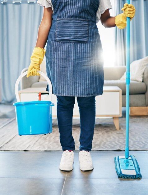 Professional cleaner